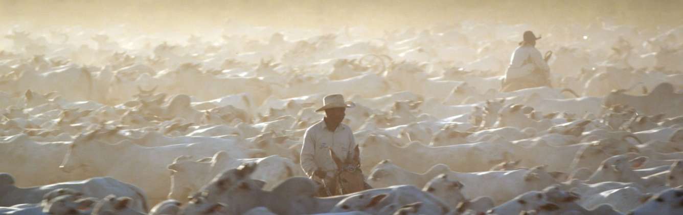 10 Die gruene Luege d