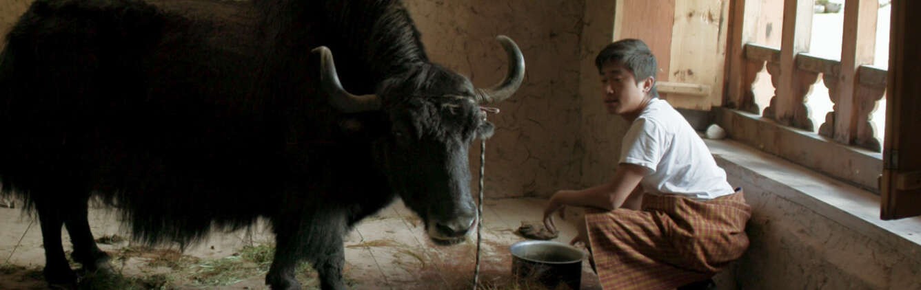 yak classroom 0107431 wide 538222bb0e2f4d32a1baff15b708d57c0c5527f7 v3